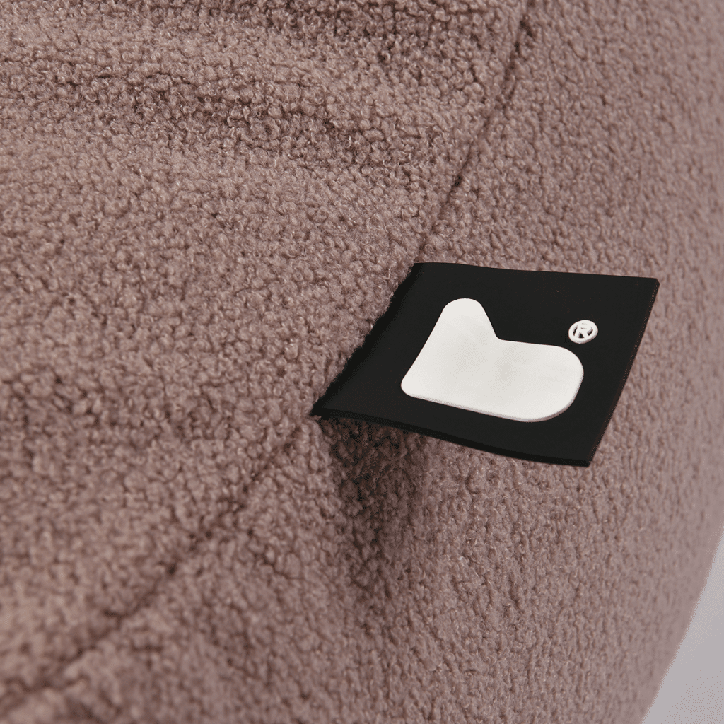 Close up Teddy Beanbag